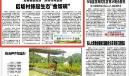 八村最新爆料新闻报道内容,揭秘背后惊人真相！”